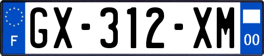 GX-312-XM