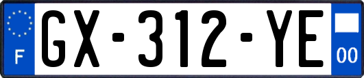 GX-312-YE