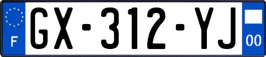 GX-312-YJ
