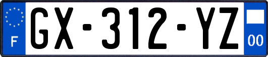 GX-312-YZ