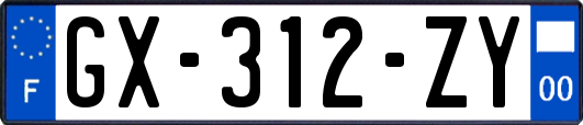 GX-312-ZY