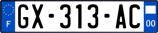 GX-313-AC