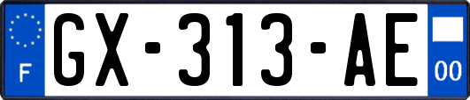 GX-313-AE