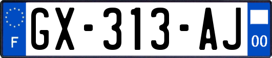 GX-313-AJ