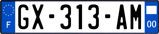 GX-313-AM