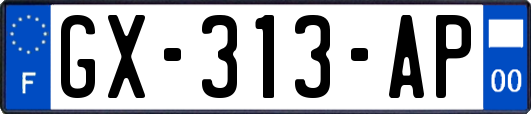GX-313-AP