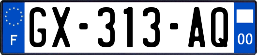 GX-313-AQ