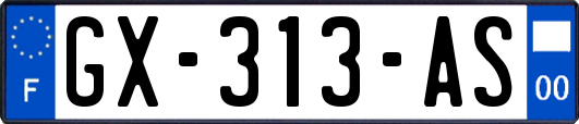 GX-313-AS