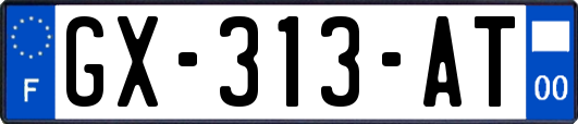 GX-313-AT