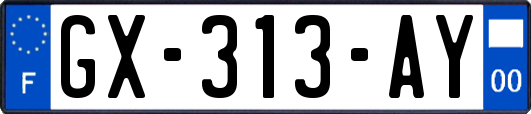 GX-313-AY