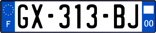 GX-313-BJ