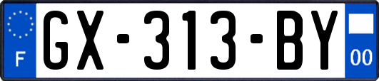 GX-313-BY