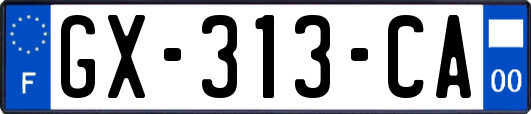 GX-313-CA