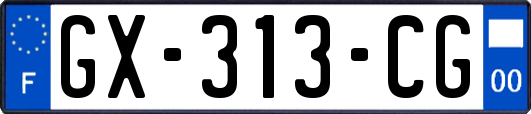 GX-313-CG