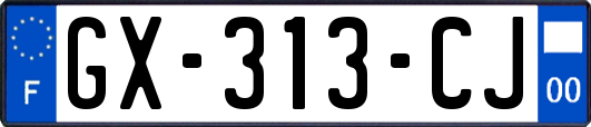 GX-313-CJ