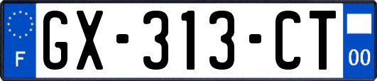 GX-313-CT
