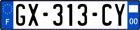 GX-313-CY