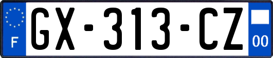 GX-313-CZ