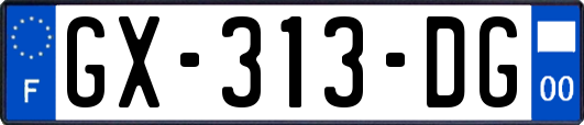 GX-313-DG