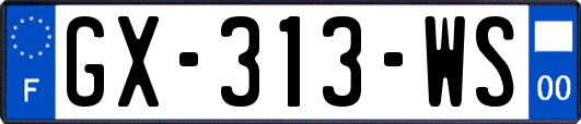 GX-313-WS