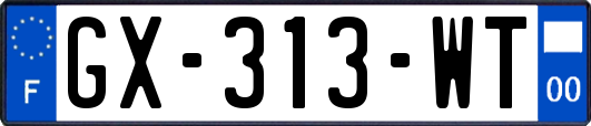 GX-313-WT