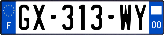 GX-313-WY