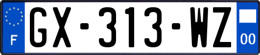 GX-313-WZ