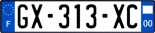 GX-313-XC