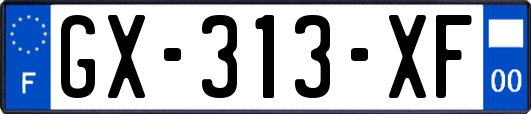GX-313-XF