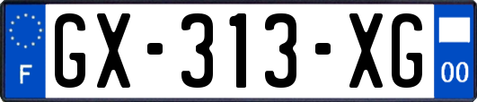 GX-313-XG