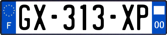 GX-313-XP