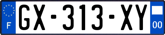 GX-313-XY