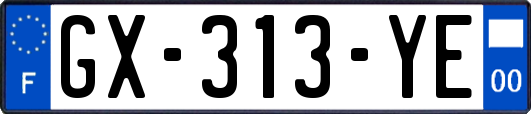 GX-313-YE