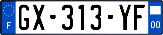 GX-313-YF