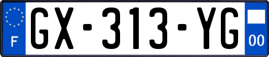 GX-313-YG