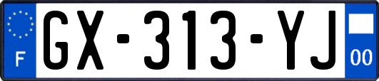 GX-313-YJ