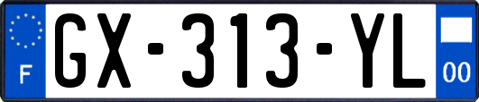GX-313-YL