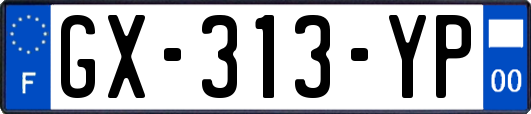GX-313-YP