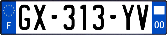 GX-313-YV