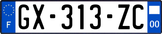 GX-313-ZC