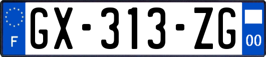 GX-313-ZG