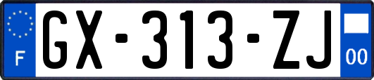 GX-313-ZJ