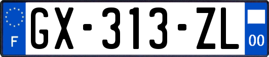 GX-313-ZL