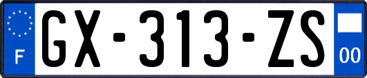 GX-313-ZS