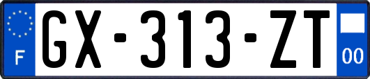 GX-313-ZT