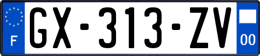 GX-313-ZV