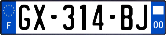 GX-314-BJ