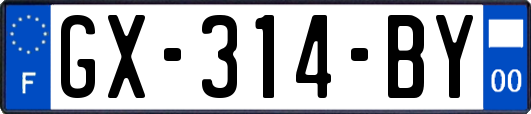 GX-314-BY