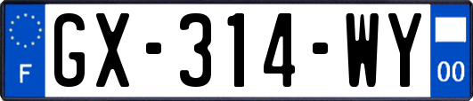 GX-314-WY