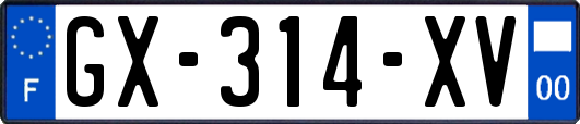 GX-314-XV